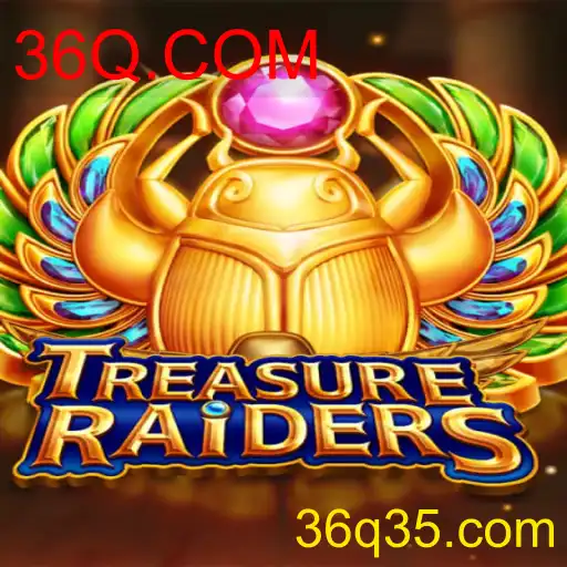 TREASURERAIDERS